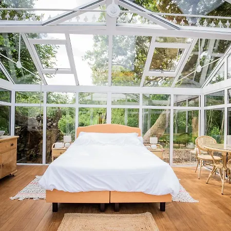 Nids Des Marais * シネイ