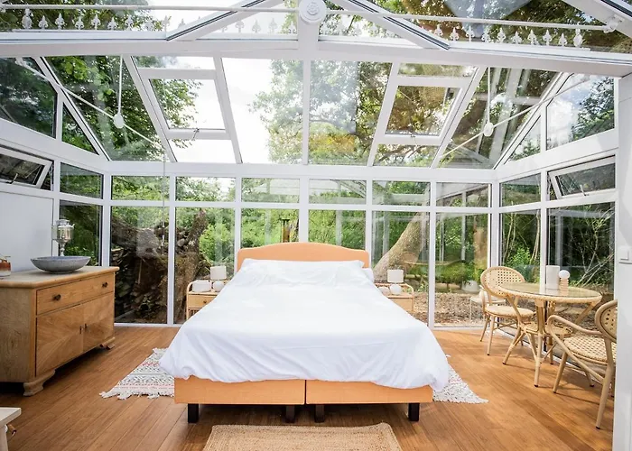 Nids Des Marais * Ciney