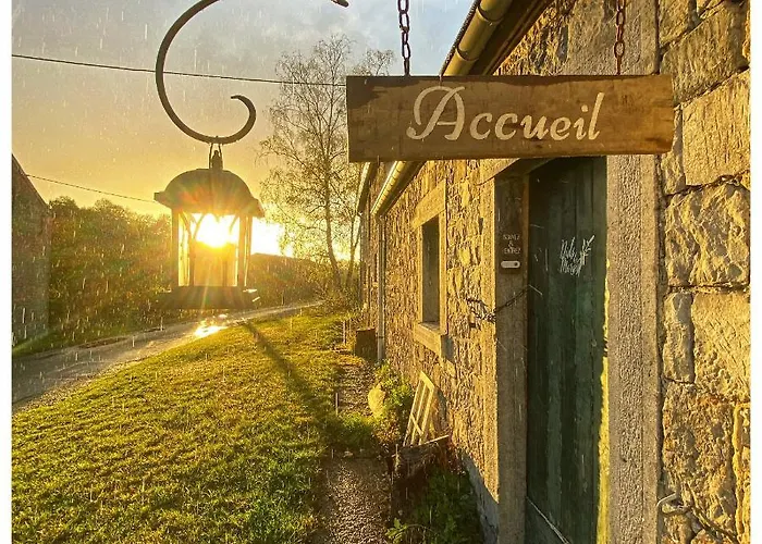 Nids Des Marais Ciney